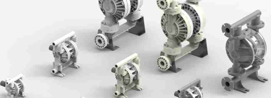 Nirmala Pumps Cover Image