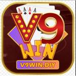 V9win Diy Profile Picture
