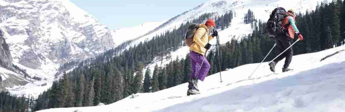 Kosha Winter wear Cover Image