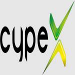 Cypex Group Profile Picture