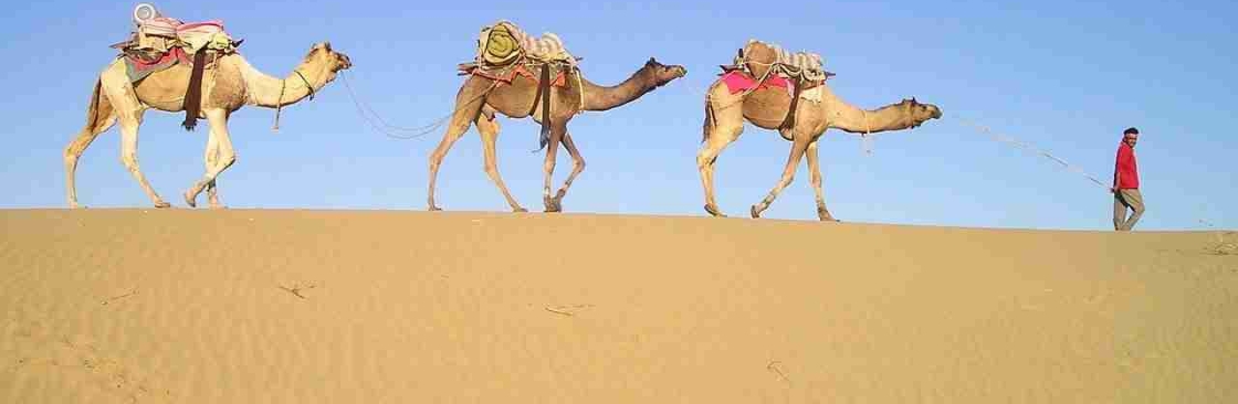 Tejofy Travel Cover Image