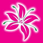 St. Maarten Flowers Profile Picture