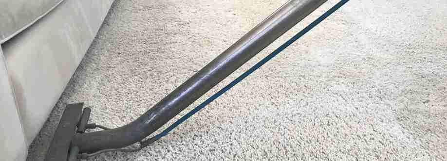 NY Cleaning Cover Image