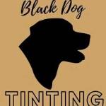 Black Dog Tinting and and Paint Protection Film Profile Picture