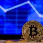 TaxelioX Bewertung Profile Picture