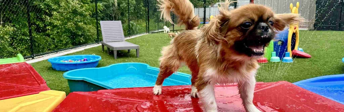 Pet Play Place Cover Image