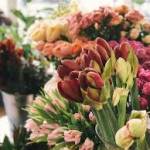 Central City Flowers Profile Picture