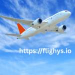 flighys offcial Profile Picture