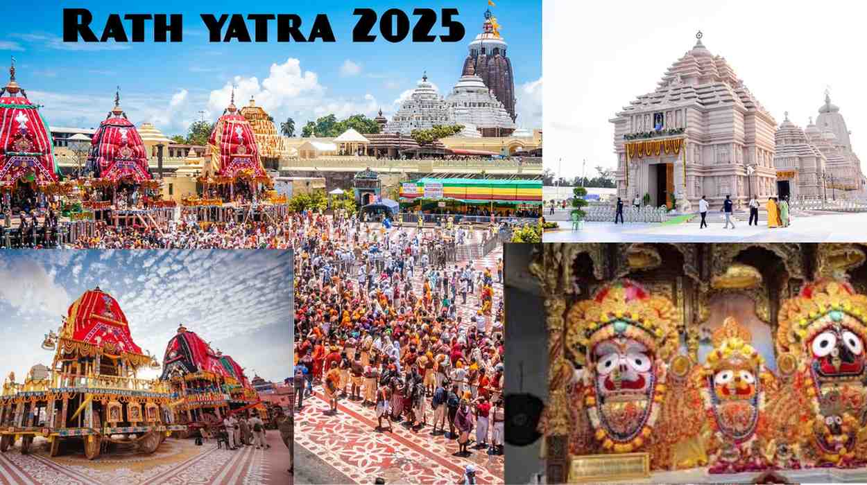 Rath yatra 2025 - All Your Choice