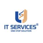 Us It Services Profile Picture