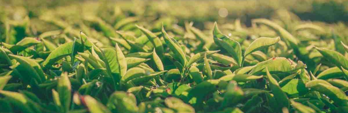 Ag Tech Cover Image