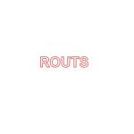 routs Profile Picture