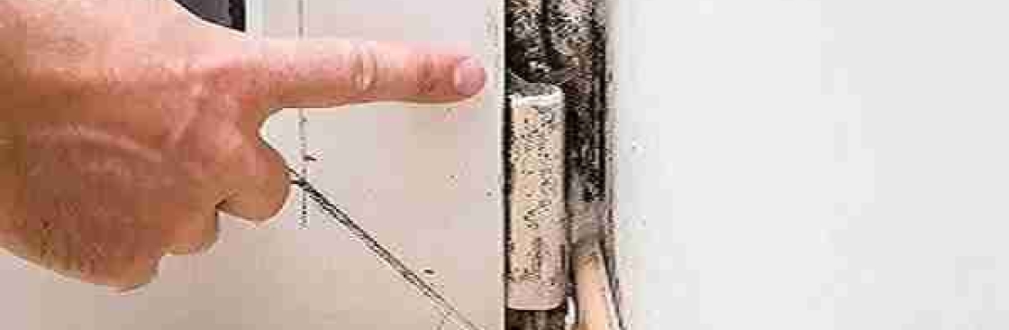 Mould Doctors Cover Image