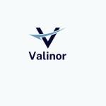 Valinor Finance Profile Picture