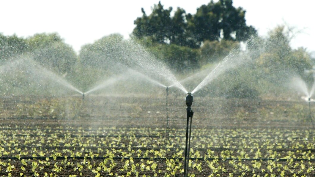 Water Sprinkler for Agriculture: More Efficient Irrigation for Farming