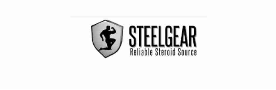 Steelgear Cover Image