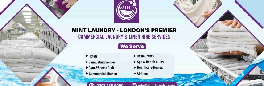 Mint Laundry Cover Image