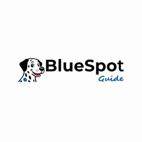 BlueSpot Guide Profile Picture