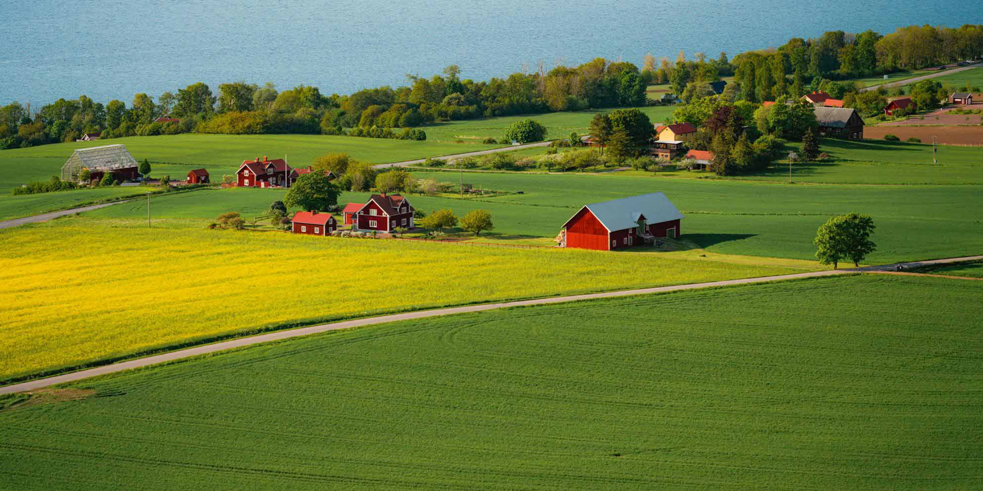 Scandinavia Tour Package from USA with Indian Food 2025