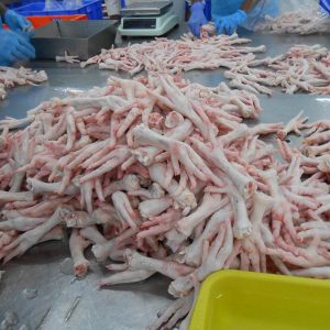 Frozen Chicken Feet - Aurora Alimentos