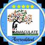 Immaculate tree felling Profile Picture