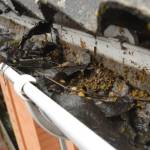 Affordable Gutter Guards in Miami Profile Picture