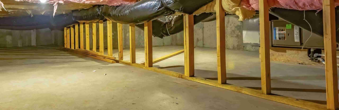 Affordable attic Cover Image