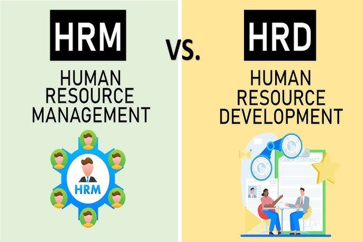 Difference Between HRM and HRD | doInsights