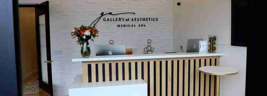 Galleryof Aesthetics Cover Image