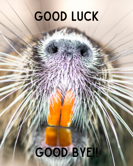 Funny Leaving Cards