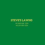 Steves Lawns Inc Profile Picture