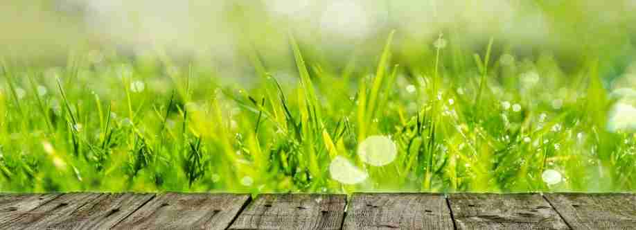 Steves Lawns Inc Cover Image