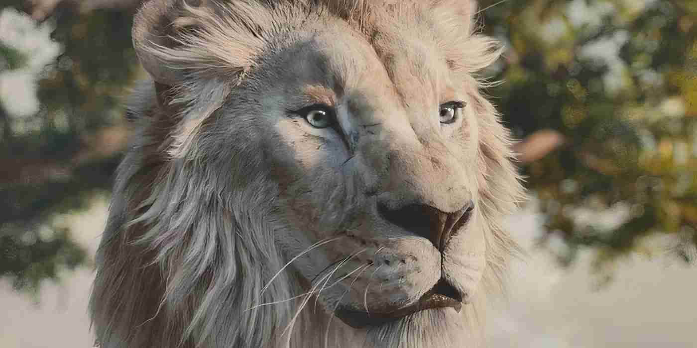 Hunter Harry Profile Picture