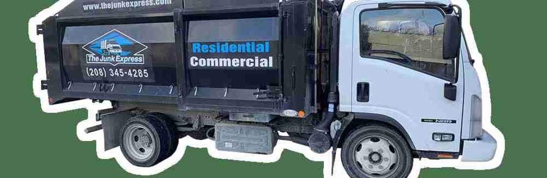 The Junk Express Cover Image