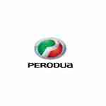 Perodua perodua Profile Picture