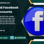 Buy old Facebook Accounts profile picture