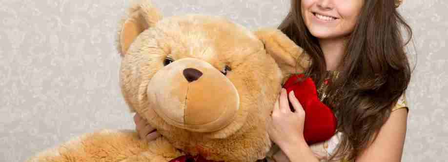 wowwee ie Cover Image