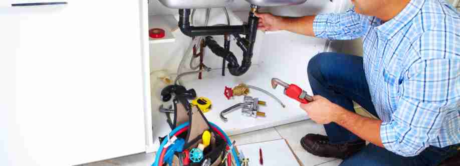 Plumber Kingston Cover Image