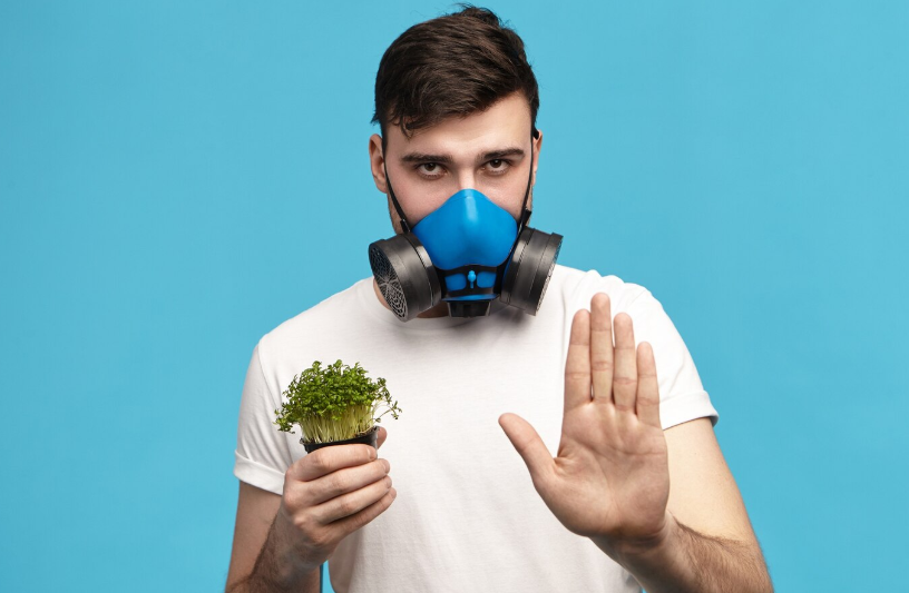 The Impact of Environmental Allergies on Daily Life | Causes & Management
