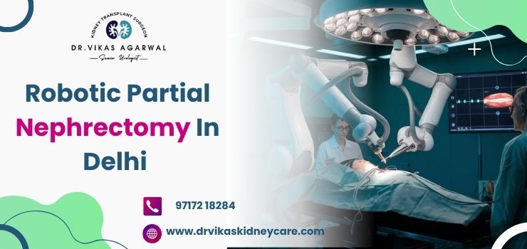 Advanced Kidney Surgery with Precision: Robotic Partial Nephrectomy in Delhi: ext_6741131 — LiveJournal