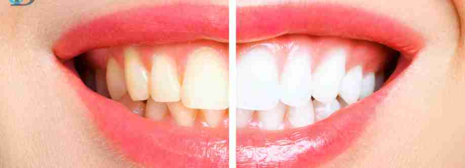 Saeid Badie DDS DDS Cover Image