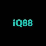iq88in Profile Picture