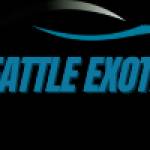 Seattle Exotic Limousine Services Profile Picture