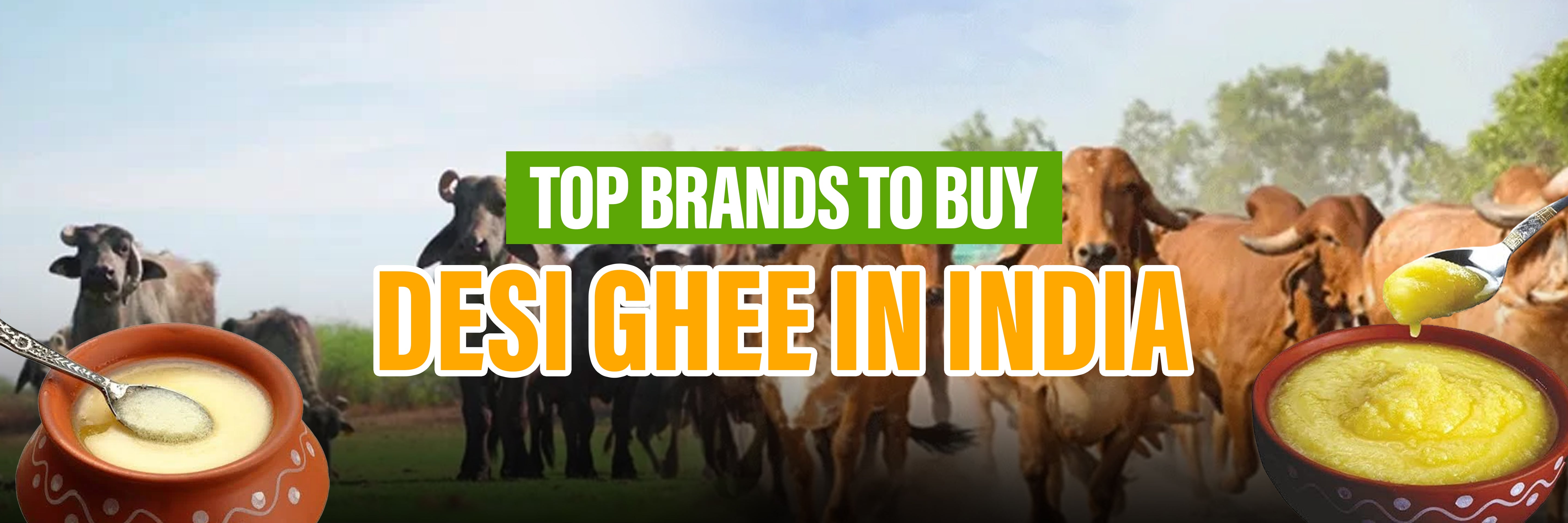 Desi Ghee Benefits from India’s Leading Ghee Brands.