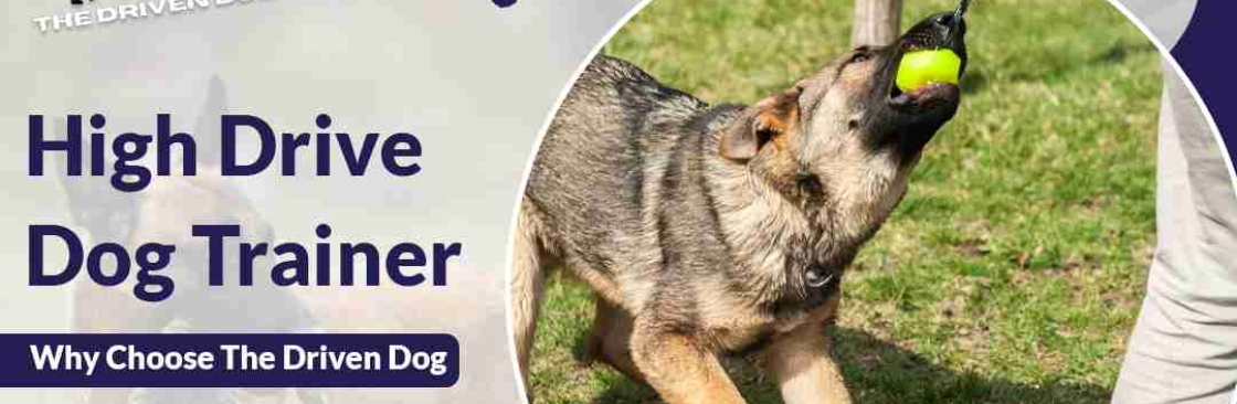 The Driven Dog Cover Image