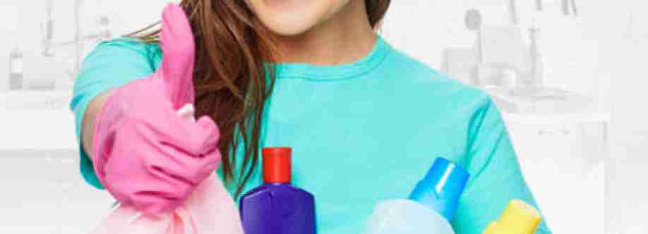 SNF Cleanig Cover Image