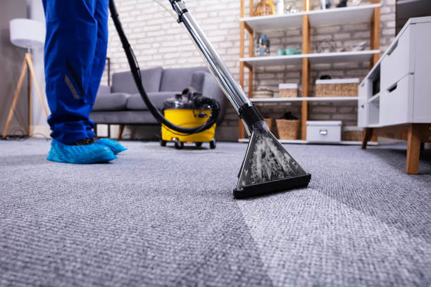 Deep Carpet Cleaning and Upholstery Care: Building a Healthy Home from the Ground Up