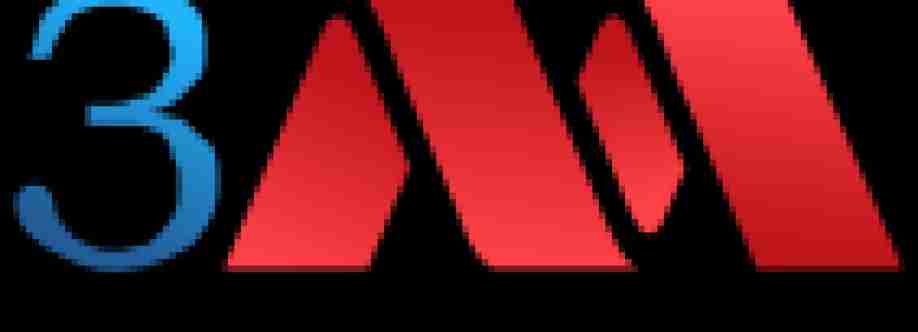 3M Management Consultants Cover Image