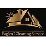 Eagles I Cleaning Service Profile Picture