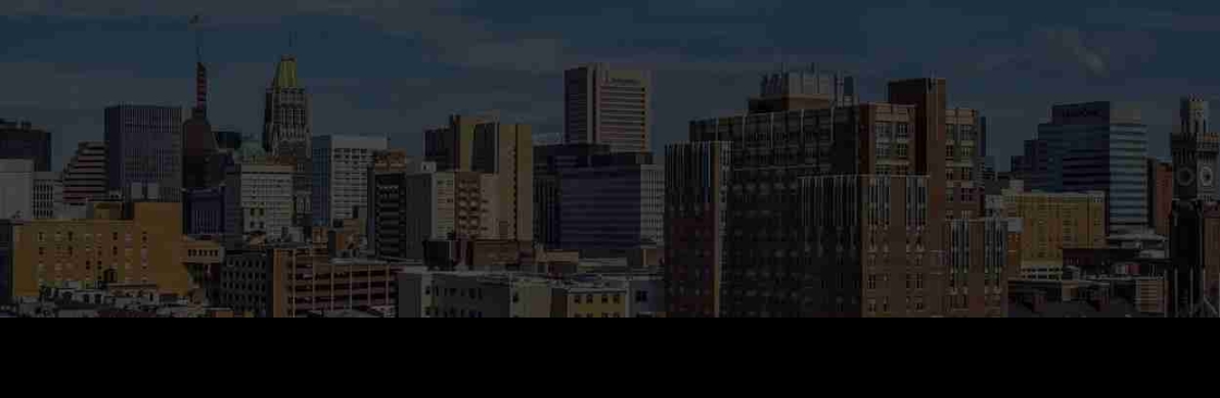 The Mt Washington Group Cover Image